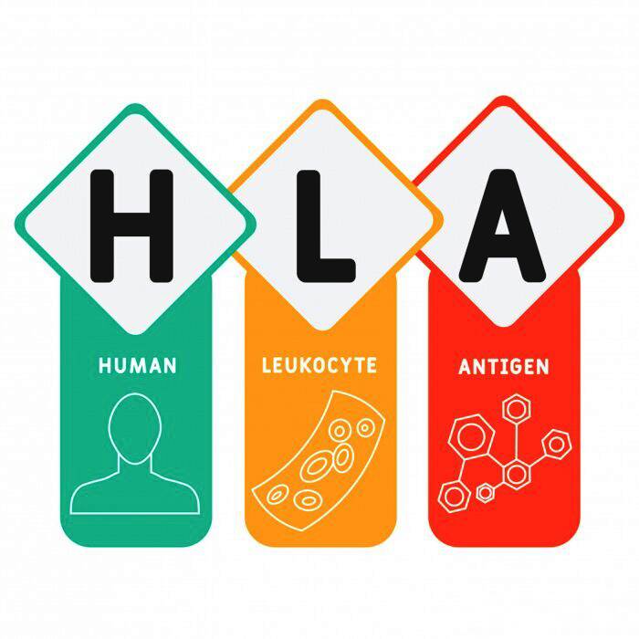 HLA چیست؟