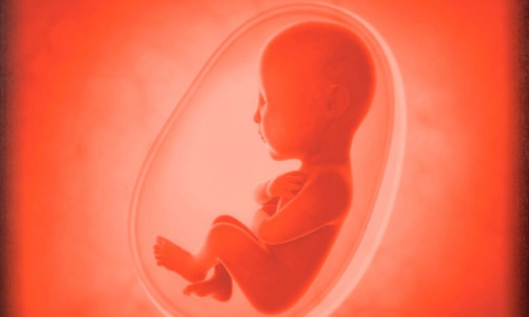 علت ژنتیکی سقط جنین 