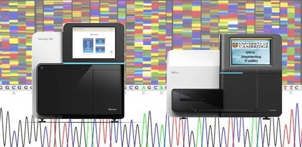 High Resolution HLA Typing توسط دستگاه Illumina