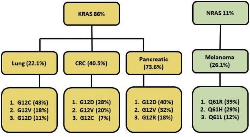 بیماری های مرتبط با جهش NRAS و KRAS