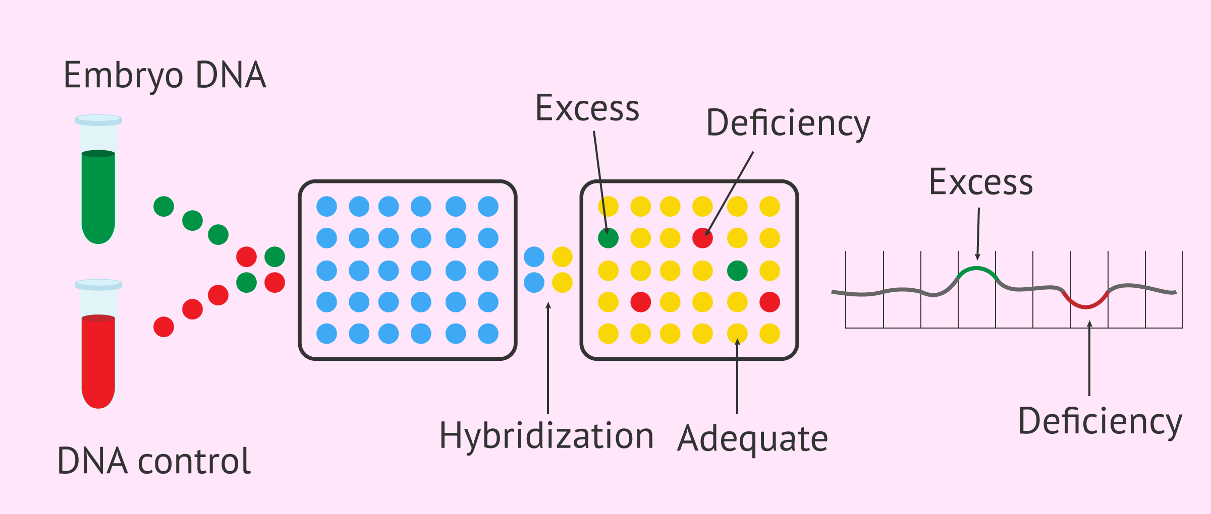 میکرواری (Cyto-One (Basic