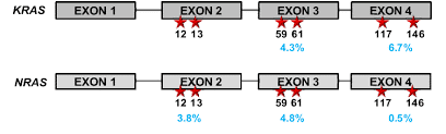 جهش های NRAS و KRAS