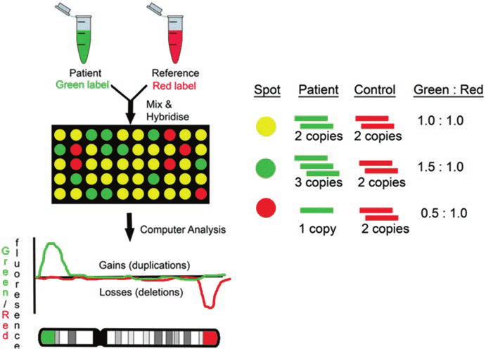 روش آزمایش CGH Array