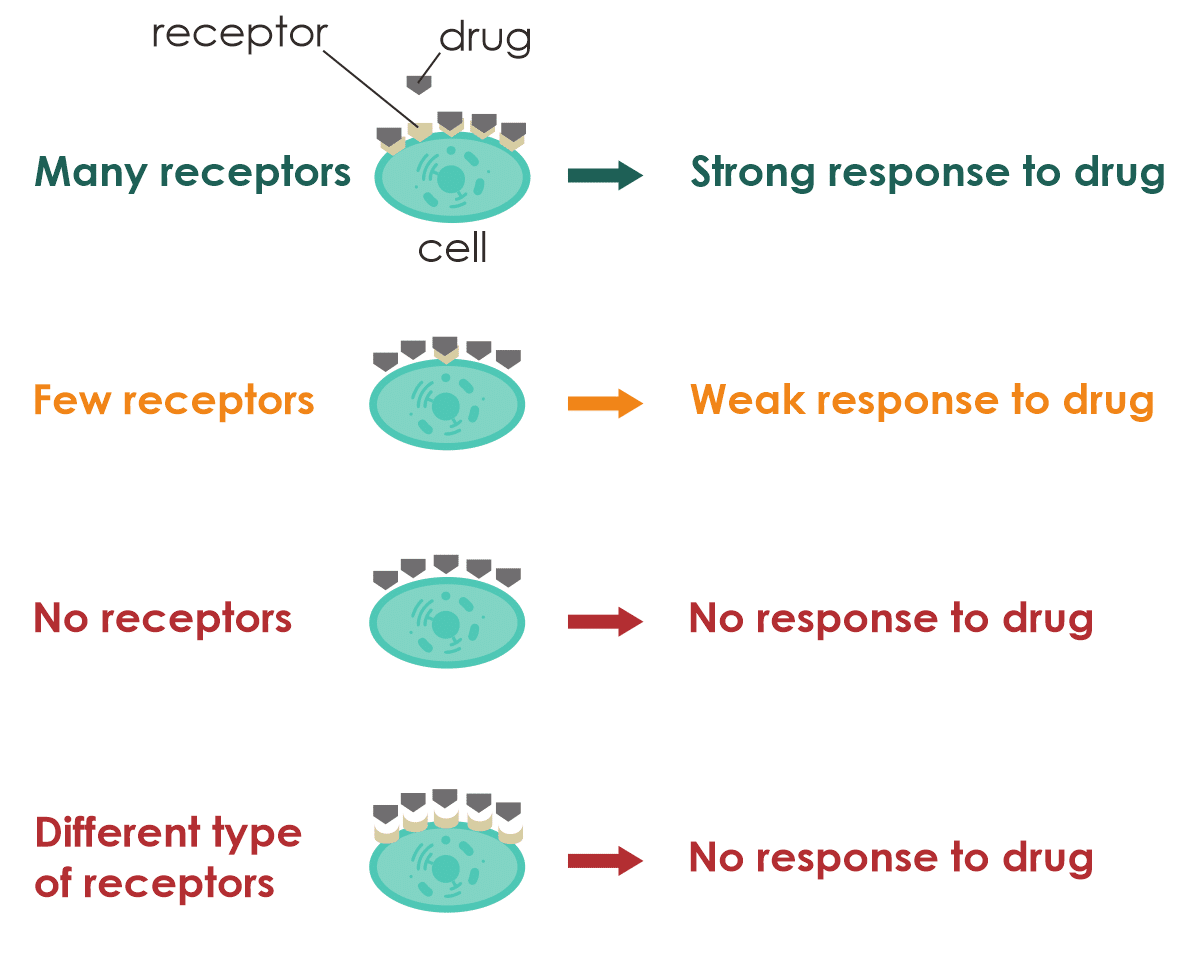 از علت های تفاوت افراد در پاسخ به داروها تفاوت در رسپتورهای مرتبط با داروست که این موارد در آزمایش فارماکوژنومیک بررسی می شود.