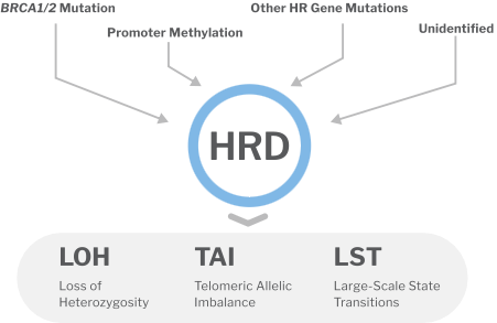 HRD